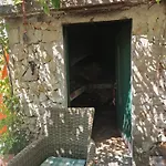 Rora *
