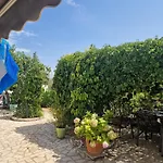 Rora * Rogoznica (Sibenik-Knin)