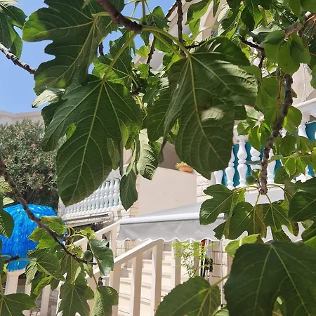 Rora Apartamento Rogoznica (Sibenik-Knin)